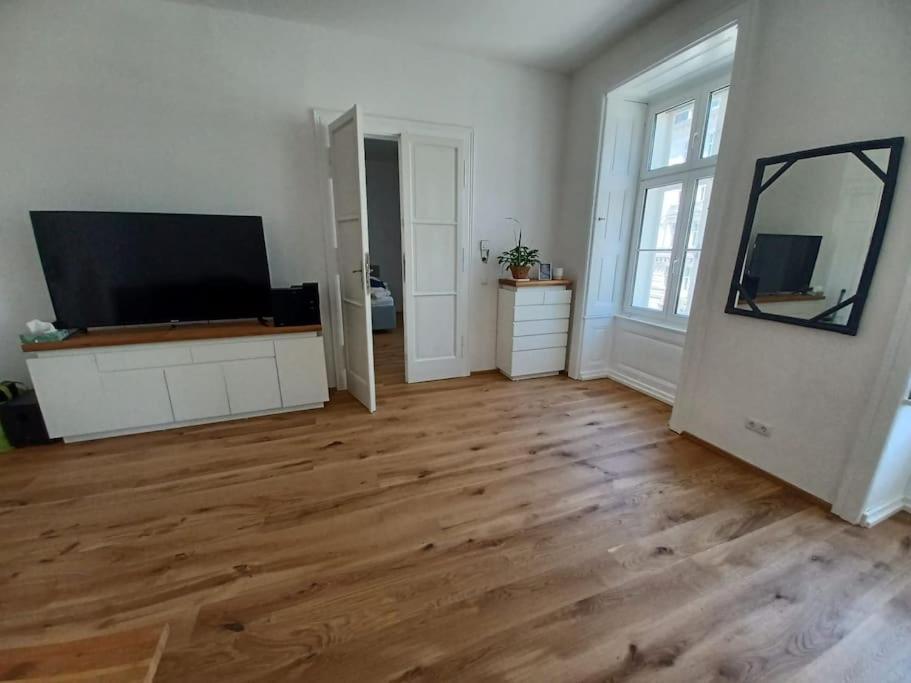 Apartament Sehr Zentral Gelegen Viena